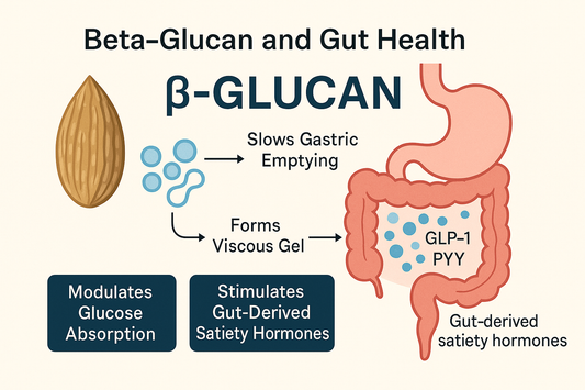 The Importance of Fibre for Gut Health: Feeding Your Microbiome for Better Health